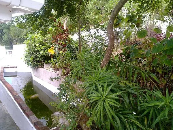 ** Penzion Treasure'S Comfort Inn Claremont Jamajka