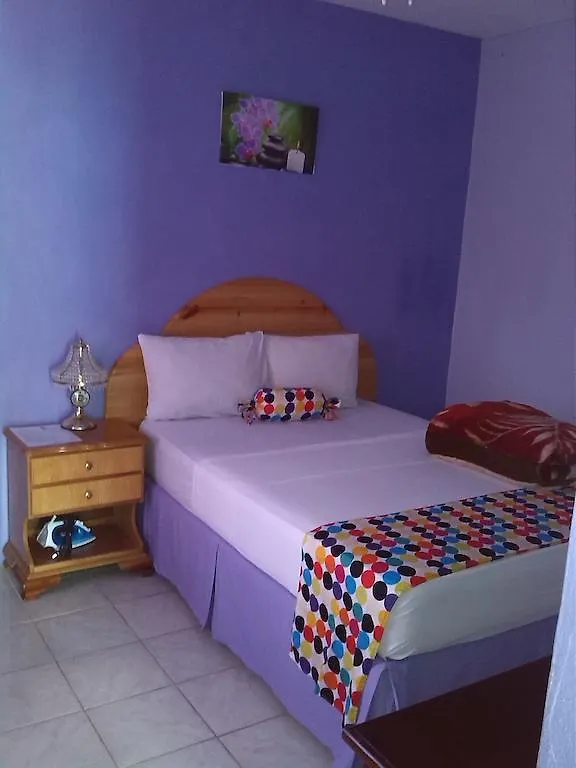 Treasure'S Comfort Inn Claremont 牙买加